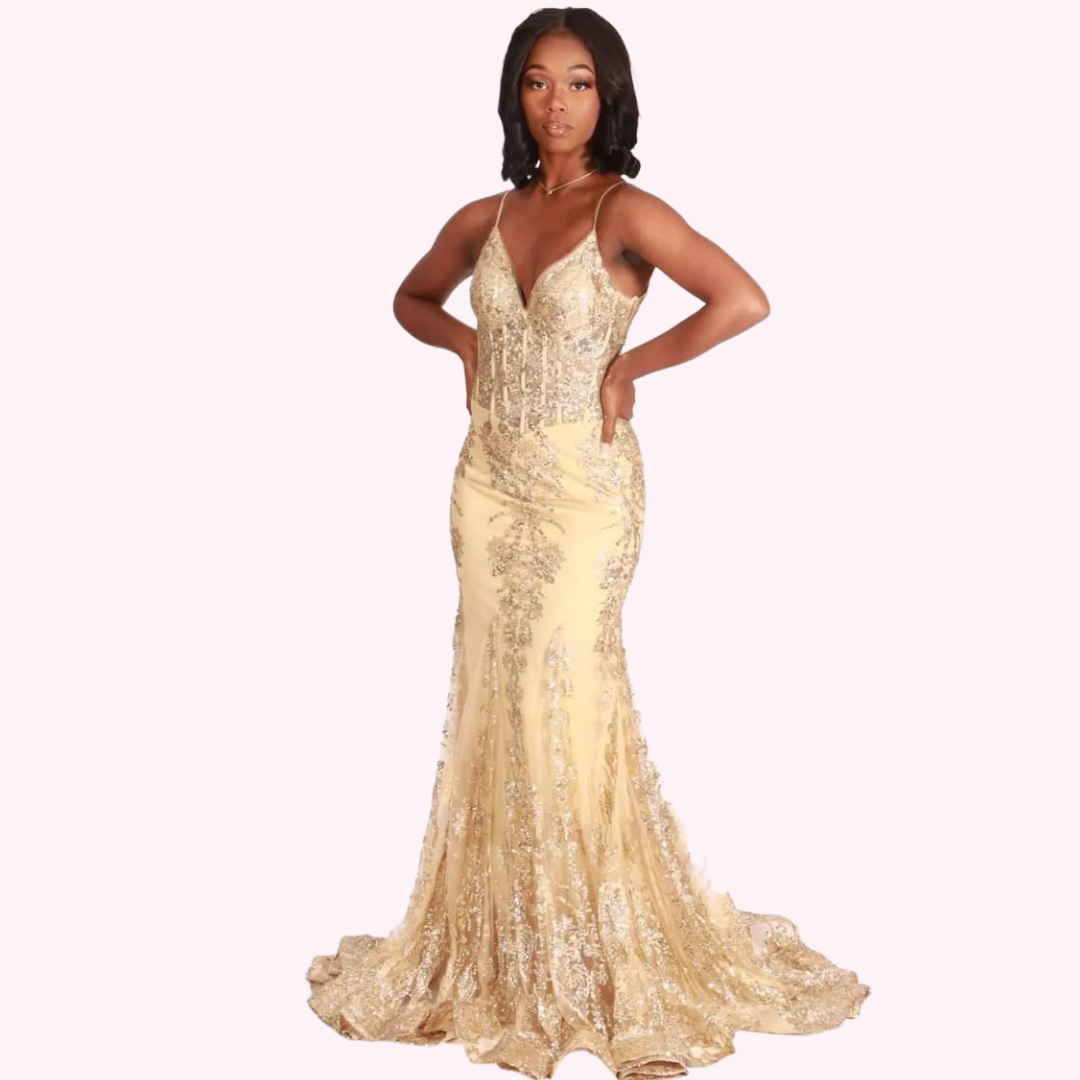 Jana Evening Long Dress (R)